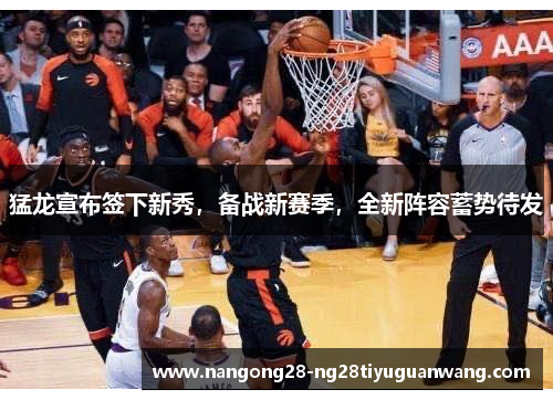 猛龙宣布签下新秀，备战新赛季，全新阵容蓄势待发