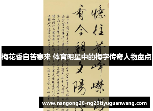 梅花香自苦寒来 体育明星中的梅字传奇人物盘点